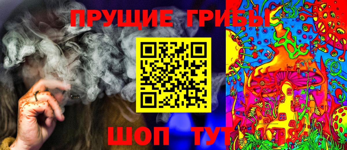 Псилоцибиновые грибы Psilocybe Таганрог